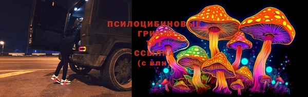 Альфа ПВП Зерноград