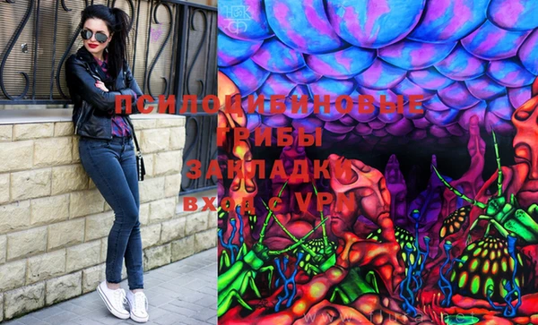 амф Зеленодольск