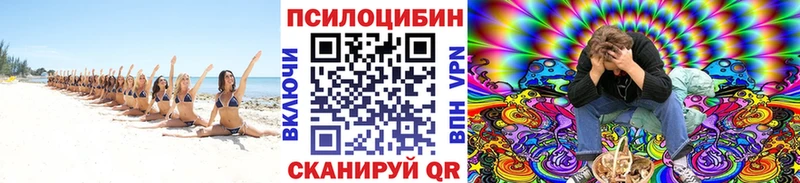 Галлюциногенные грибы мицелий  Купить  Галич 